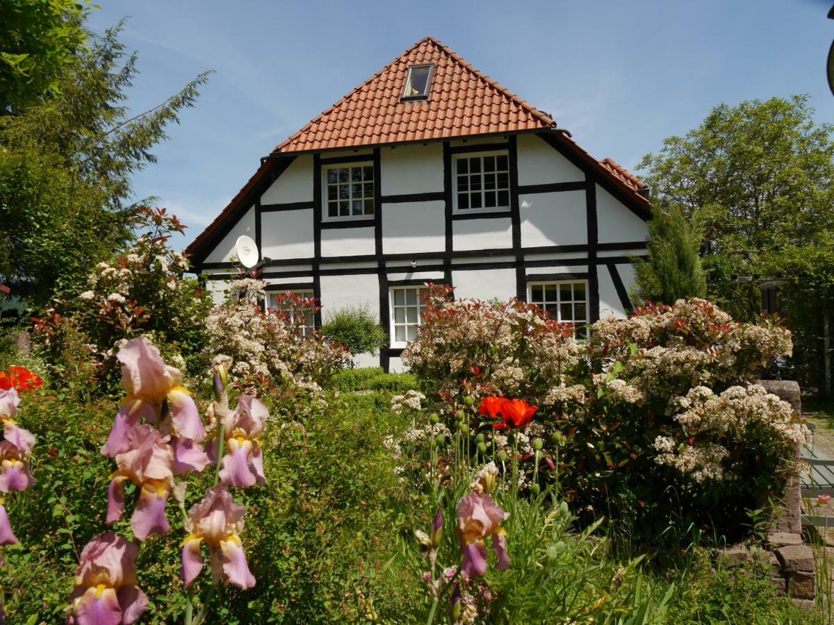 Ferienwohnung Weserblick Polle Eksteriør billede